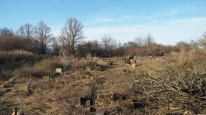 9-Revitalizace zdevastovaného hřbitova ve Svatoboru             